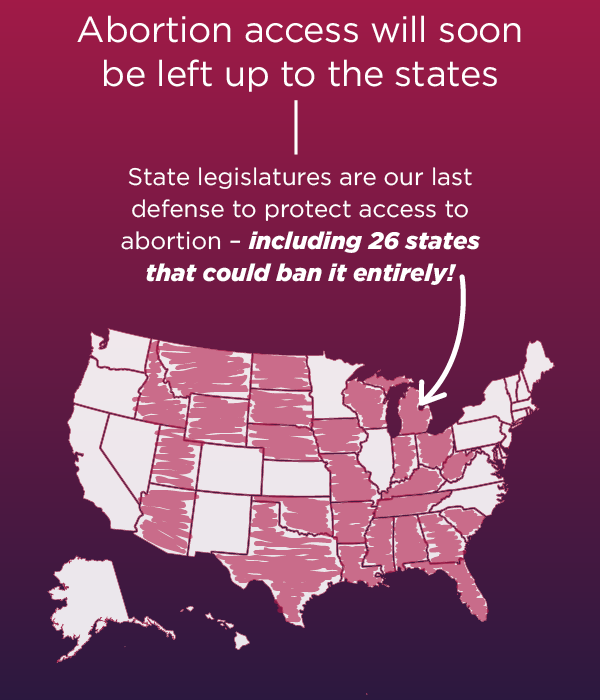 State legislatures are our last defense to protect access to abortion!