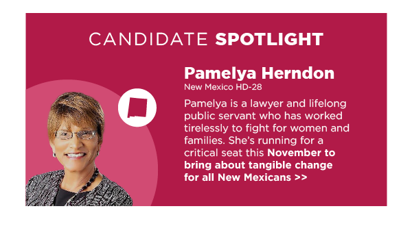 Spotlight Candidate: Pamelya Herndon | NM HD-28