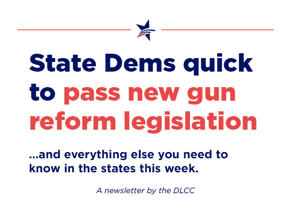 State Dems quick to pass new gun reform legislation… and everything else you need to know in the states recently.