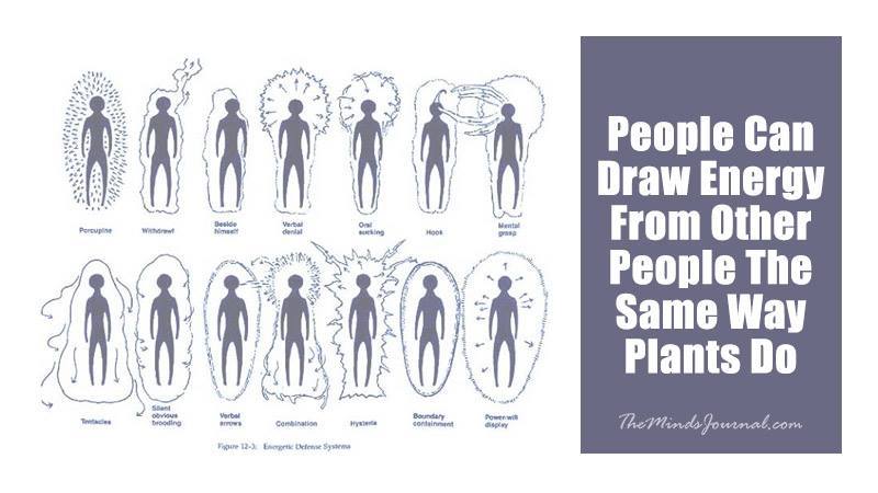 people-can-draw-energy-from-other-people-the-same-way-plants-do
