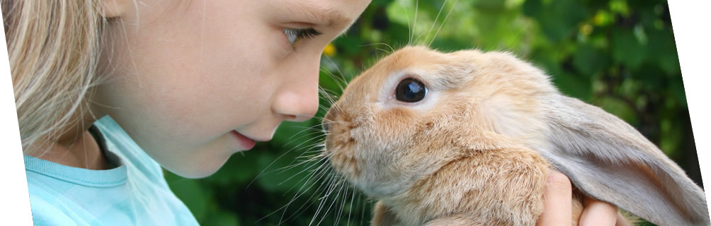 GEN-in-loving-memory-animals-girl-rabbit-header