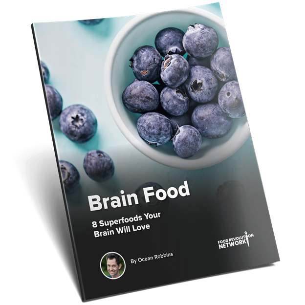 Brain Foods