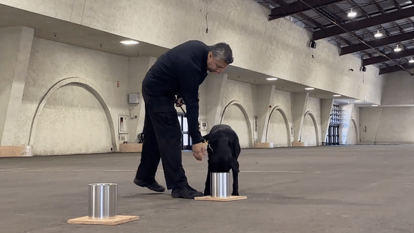 ATF holds
canine certification event at Del Mar fairgrounds ATF holds canine certification event at Del Mar fairgrounds