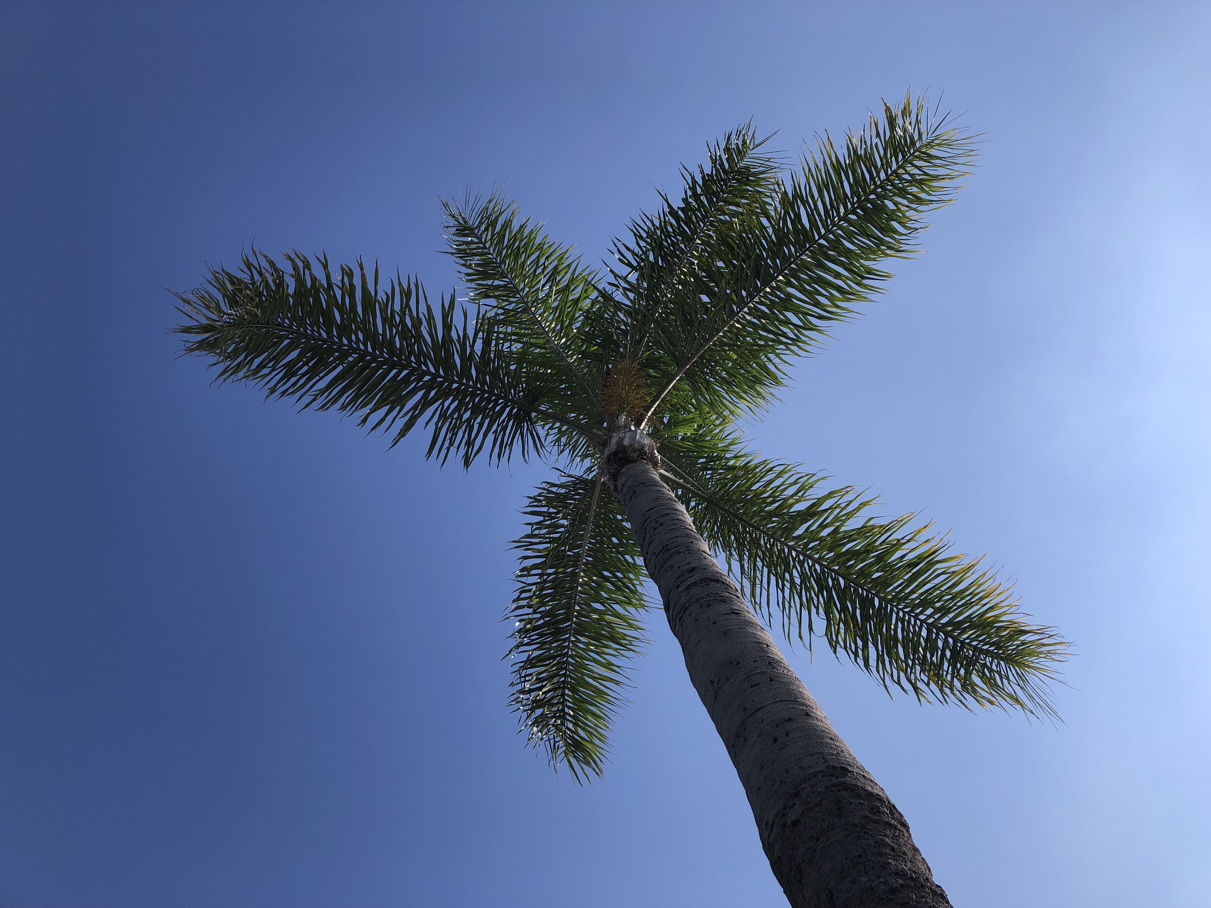 Below
average high temperatures expected for San Diego County Below average high temperatures expected for San Diego County