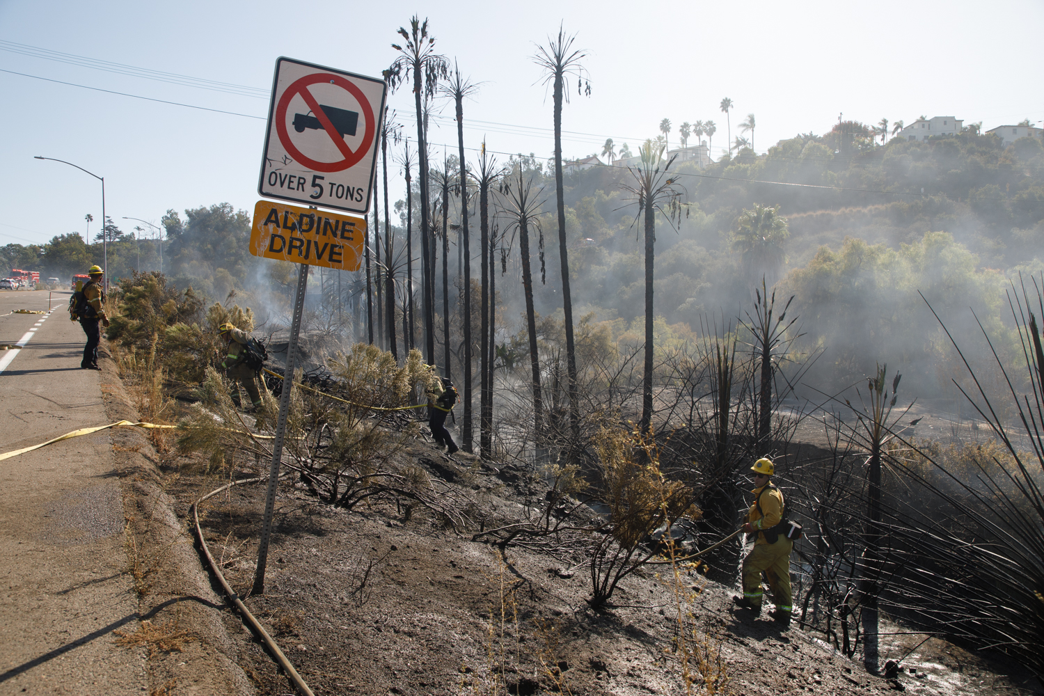 Heavy rainfall makes for high fire risk. But San Diego lagging on
removing brush Heavy rainfall makes for high fire risk. But San Diego lagging on removing
brush