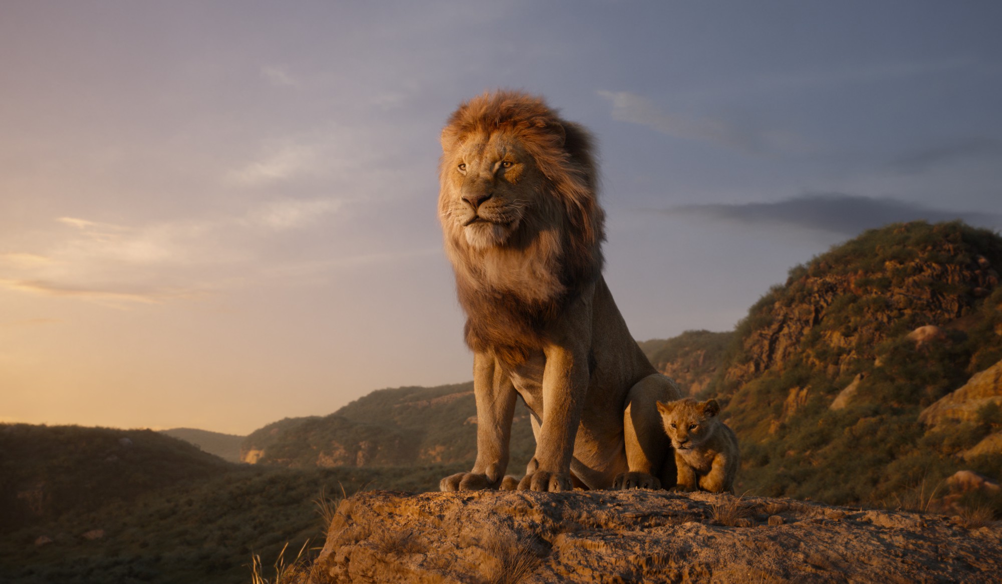 The Lion King và hành trình rực rỡ, bi tráng lôi cuốn khán giả - Ảnh 4.