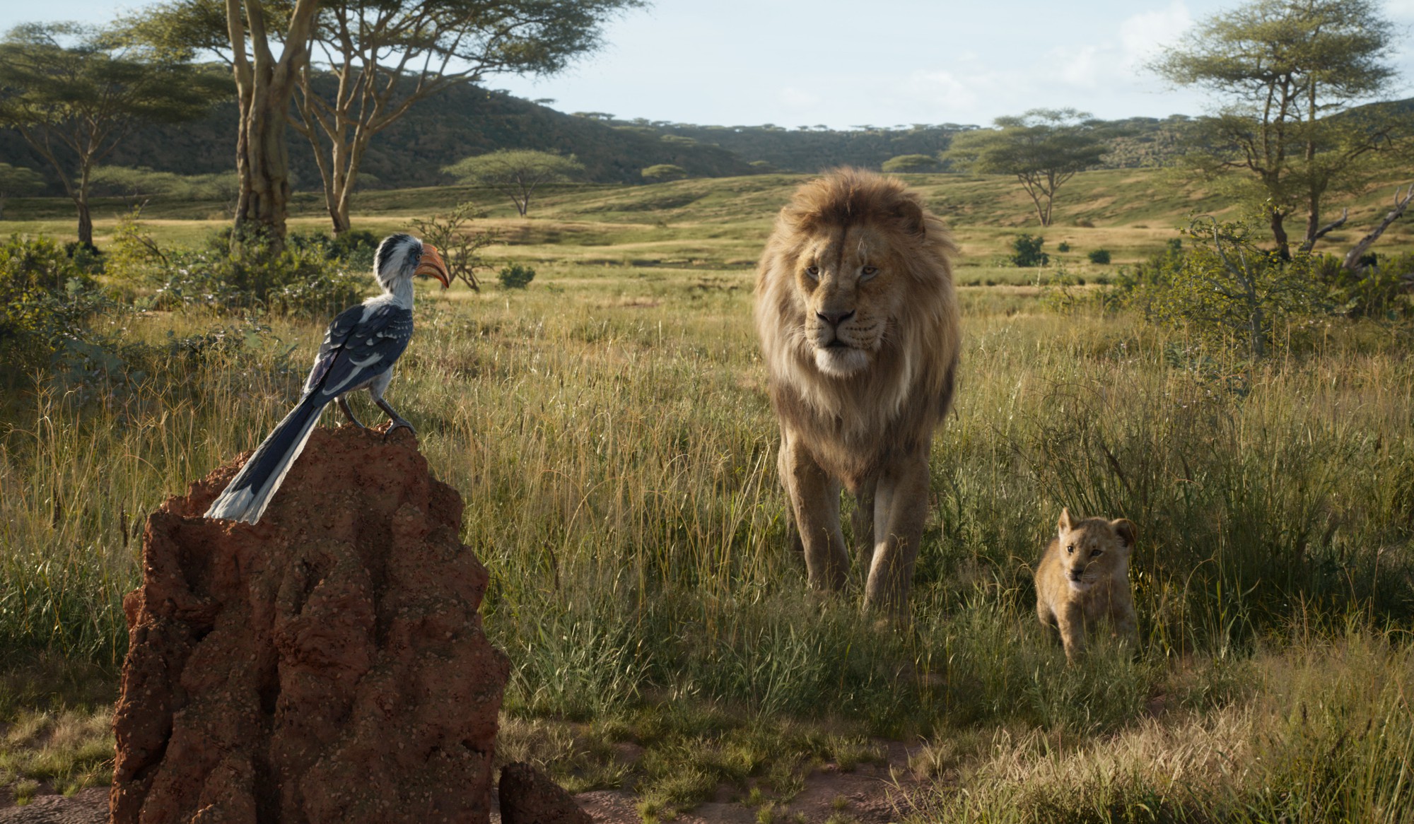 The Lion King và hành trình rực rỡ, bi tráng lôi cuốn khán giả - Ảnh 2.