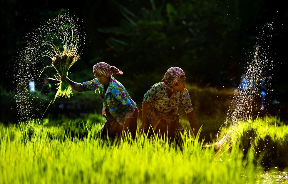 Ngây ngất với thiên nhiên và đời sống người Việt qua ảnh - Ảnh 5.