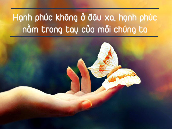 di-tim-hanh-phuc-ca-doi-nhung-nhieu-nguoi-van-chua-hieu-hanh-phuc-la-gi-9-voh