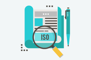 ISO Management System Audit Techniques and Best Practices