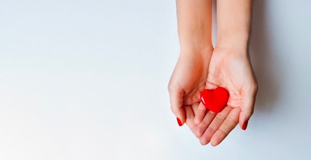 Set of hands holding out a red heart on a white background