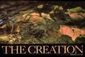 Image result for the creation ? photo