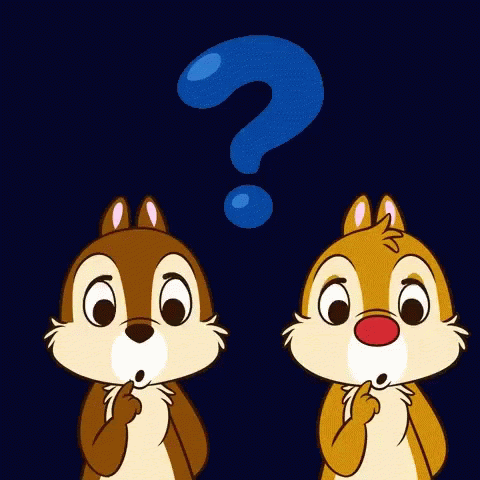 Hein Eu What Is That GIF Hein Eu What Is That GIF