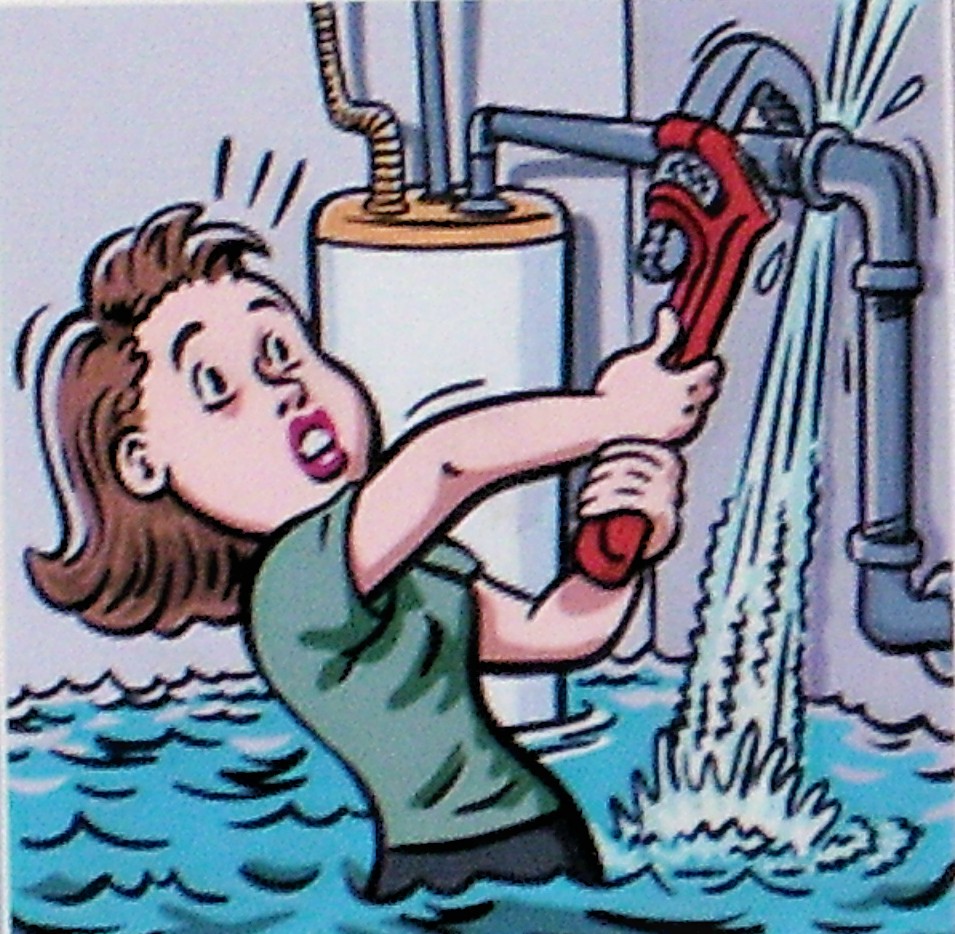 cartoon_flood_woman.jpg (955×934)