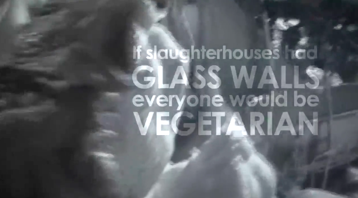 Paul McCartney pede à presidência da COP30 que cancele o cardápio de carne, que destrói o planeta: "Não me decepcionem!"