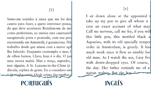 Imagens das versões inglês e português do e-book