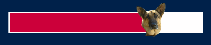 Thermometer Thermometer