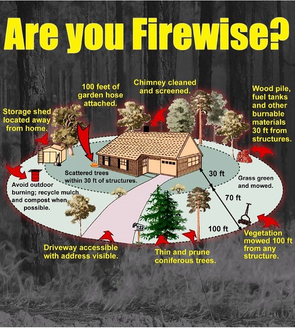 Wildfire Preparedness infographic showing how to prepare your home in case of a wildfire.