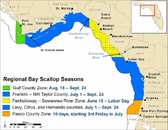 scallop seasons with map for 2021