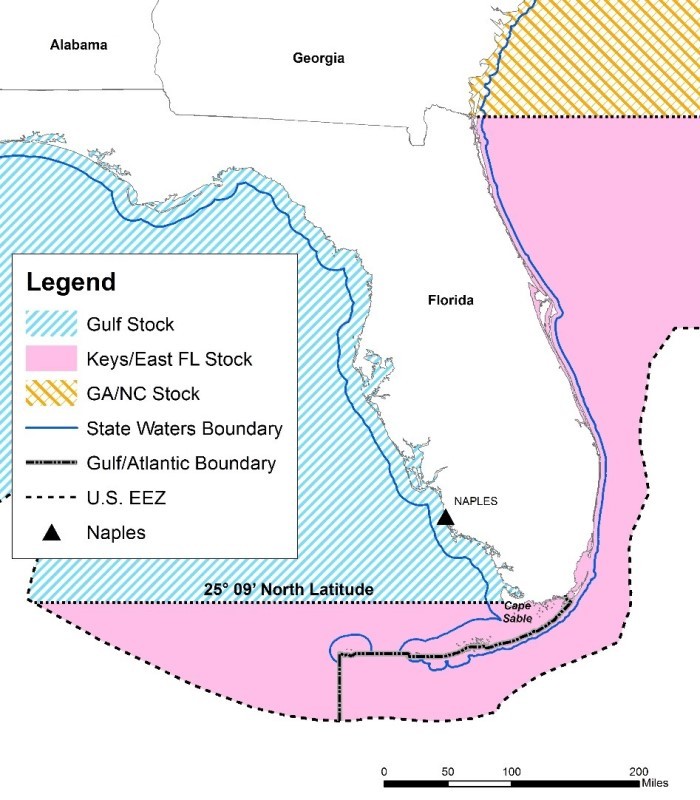 Florida map showing hogfish stock