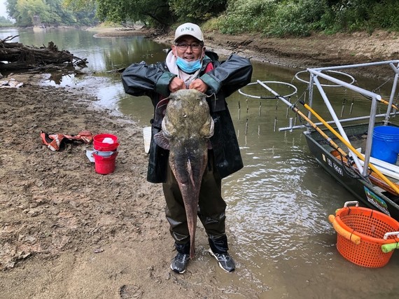 Biologists caught this 40-pound flathead catfish near Bloomfield