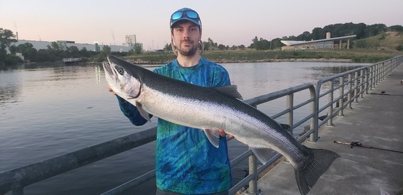 Winning steelhead trout caught by Theodore Fenicle