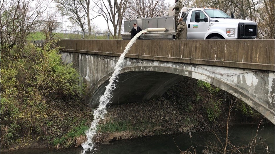 Trout being stocked from bridge