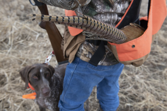 Hunter with pheasant in bag and dog at feet