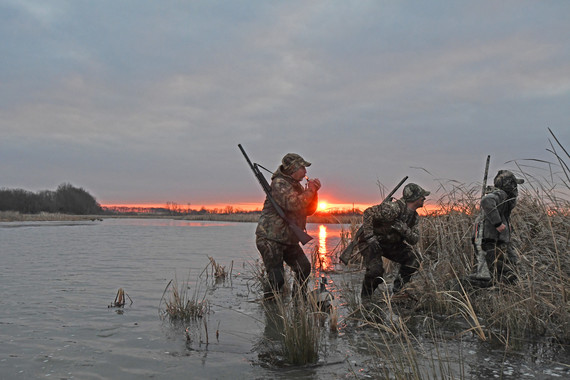 Waterfowl hunters in a wetland at sunrise