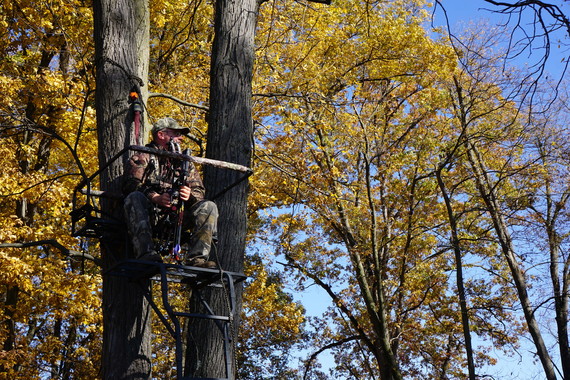 Archery hunter in tree stand