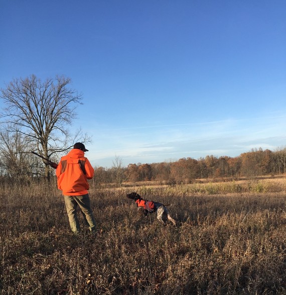 Hunter with his dog searching for quail