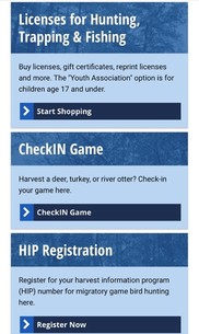 Screenshot of CheckIN Game button on license system website