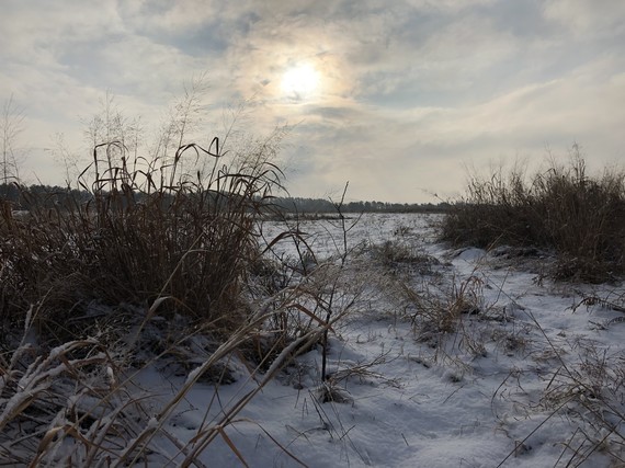 Snowy prairie at Goose Pond Fish & Wildlife Area