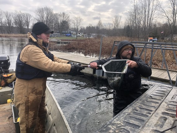 USGS and DNR biologists working together to collect information on cisco