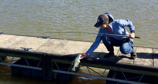 Angler fishing on dock