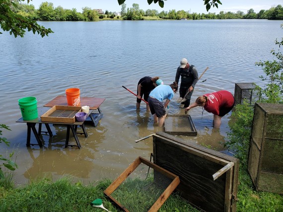 A group of people in a body of water working with mussels.