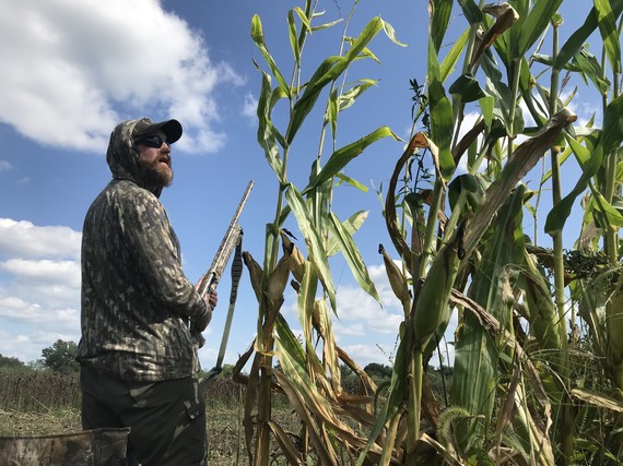 A man in camouflage hunting beside a corn field.