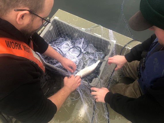 An overhead shot of two people holding a net with cisco in it.
