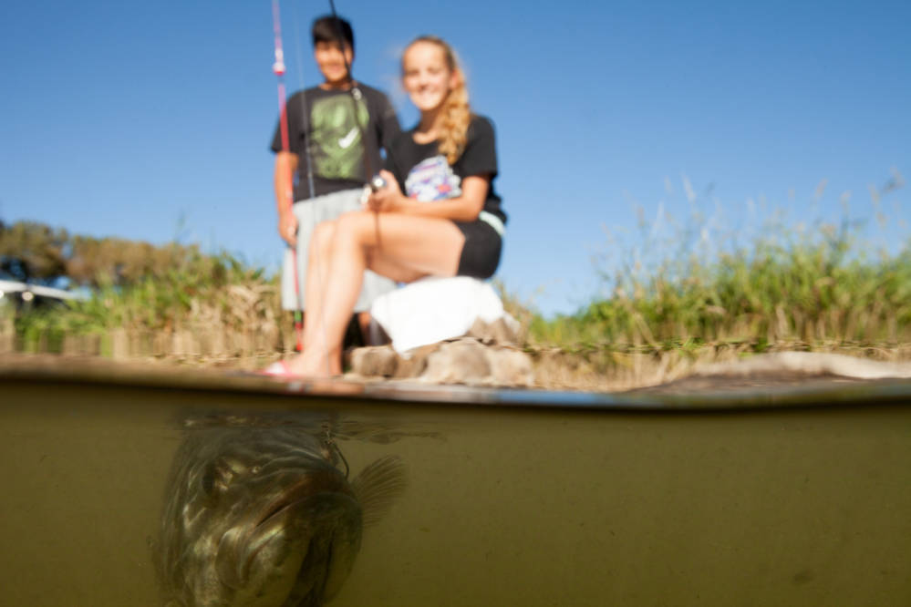 Two people fishing with a small mouth bass underwater.