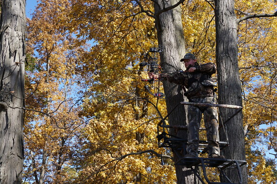 A hunter on a tree stand.