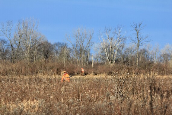 Two hunters wearing orange in a field.