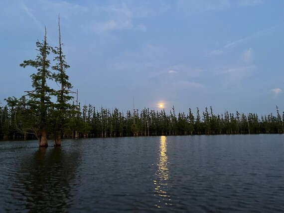 A lake at night, with the moon above it.