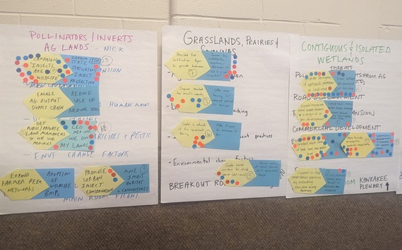 Brainstorming posters from the SWAP workshop.