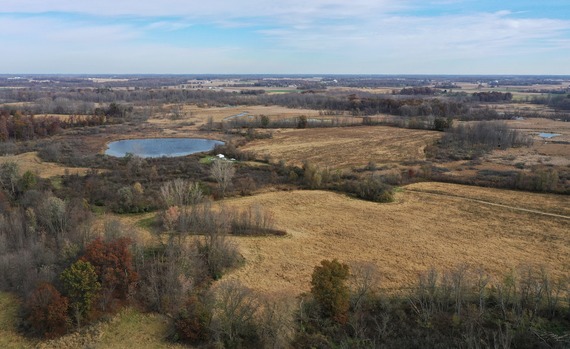 Aerial photo of Mallard Roost WCA.