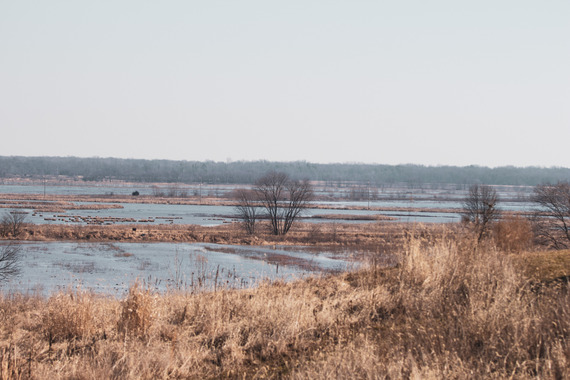 Wetlands at Goose Pond FWA.