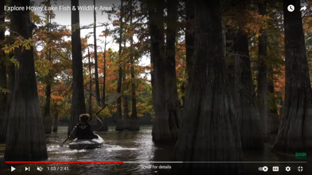 A YouTube screenshot of DNR’s Hovey Lake FWA video.