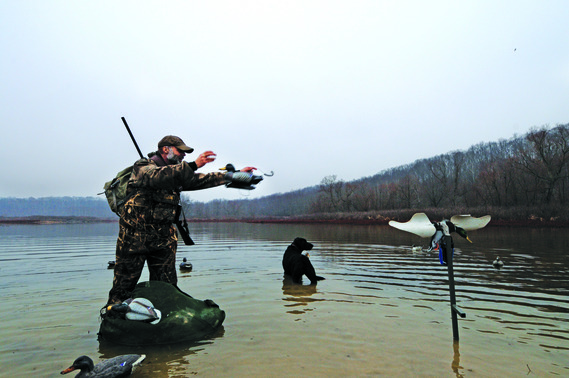 A duck hunter in water.