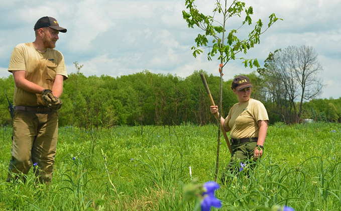 Planting