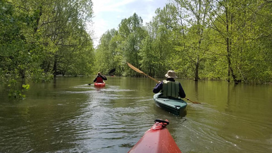 Paddling