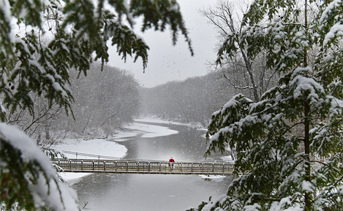 Suspension bridge at Turkey Run SP